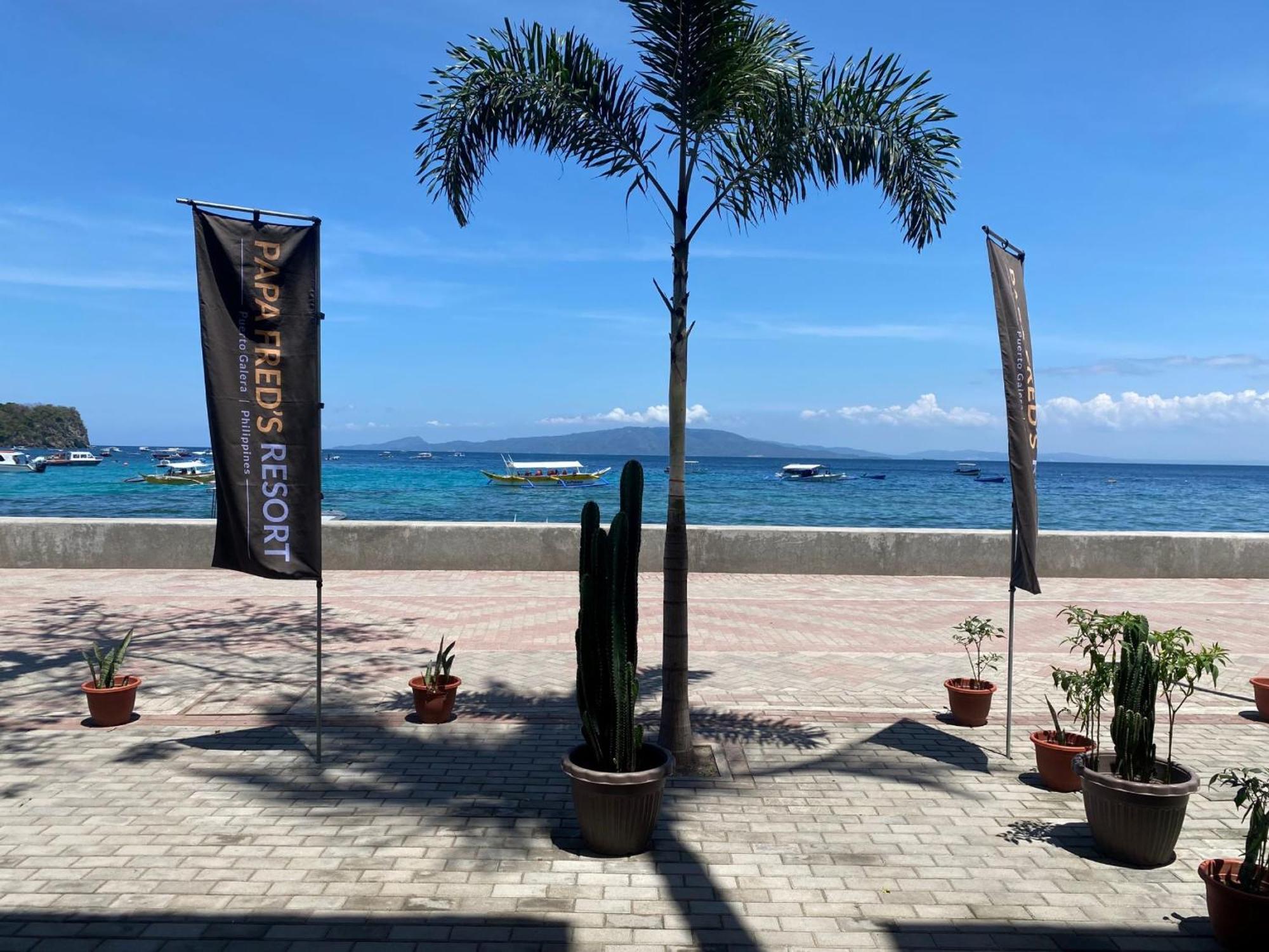 Papa Freds Beach Resort Puerto Galera Dış mekan fotoğraf